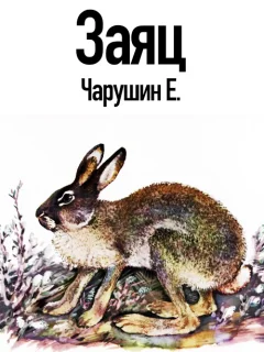 Заяц - Чарушин Е.И. читать бесплатно