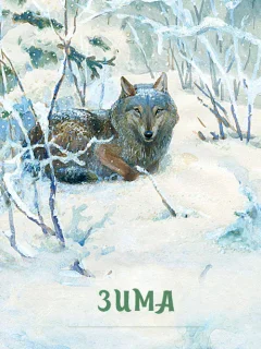 Год в лесу. Зима - Соколов-Микитов И.С. читать бесплатно