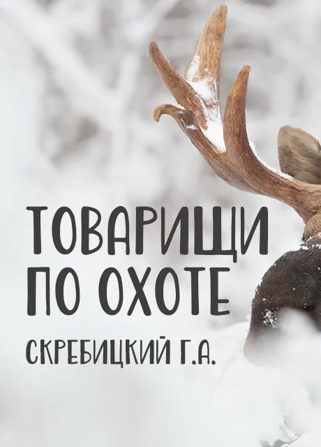 Товарищи по охоте - Скребицкий Г.А. читать бесплатно на m1r.ru