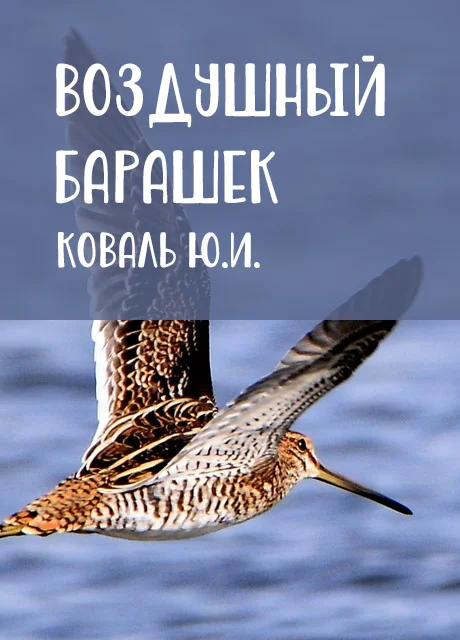 Воздушный барашек - Коваль Ю.И. читать бесплатно на m1r.ru