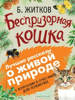 Беспризорная кошка - Житков Б.С. читать бесплатно