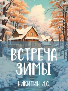 Встреча зимы - Никитин И.С. читать бесплатно
