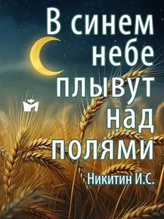 В синем небе плывут над полями - Никитин И.С. читать бесплатно