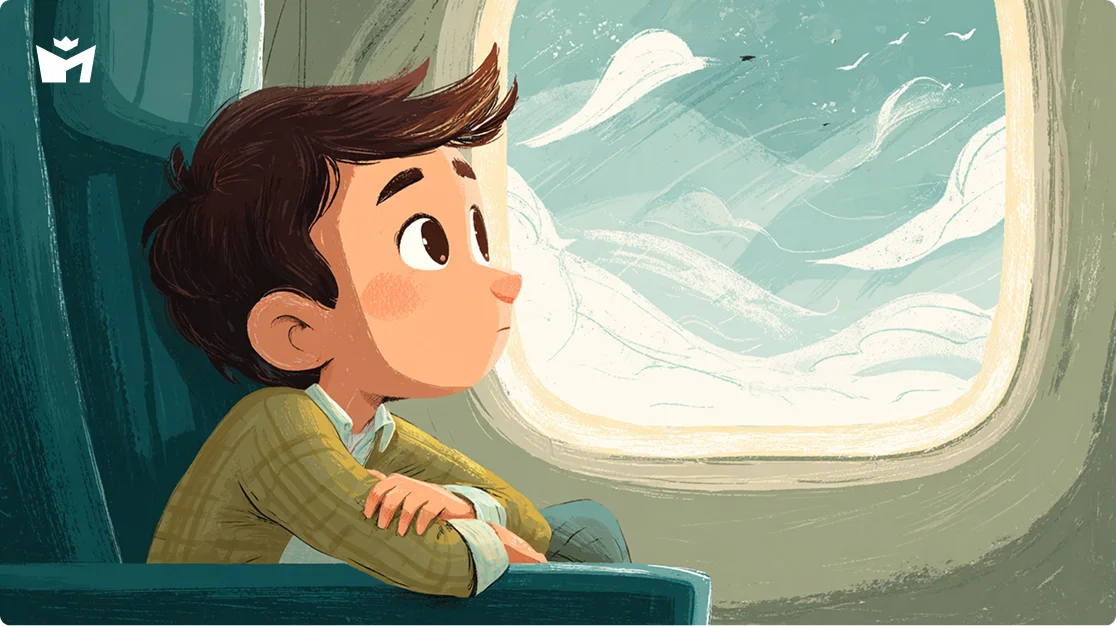 Путешествие. Денис в самолете